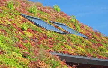Lighthorne Heath living roof systems