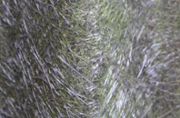 Lighthorne Heath fibreglass roof work